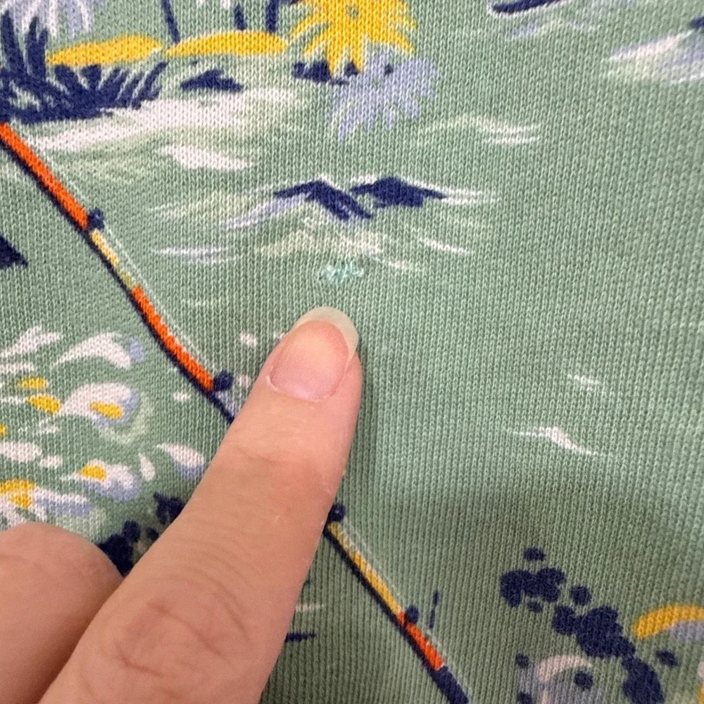 Polo Ralph‎ Lauren Hoodie Boys 4T Green Marlin Tropical Fishing French Terry